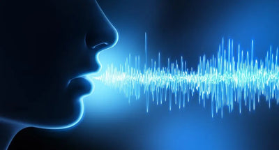 Exploring the Fascinating World of Bioacoustics and Voice Analysis