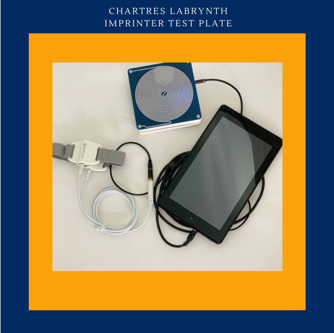 Chartres Labrynth iMprinter Test Plate - INSIGHT HEALTH APPS